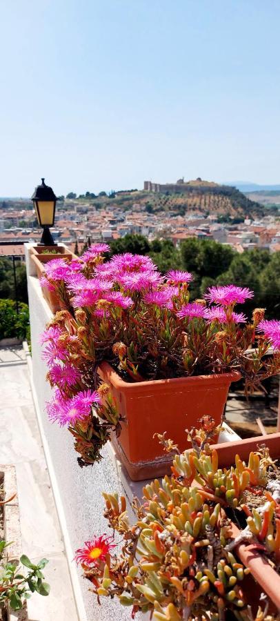 Ephesus Hillside Apartment Selçuk Bagian luar foto